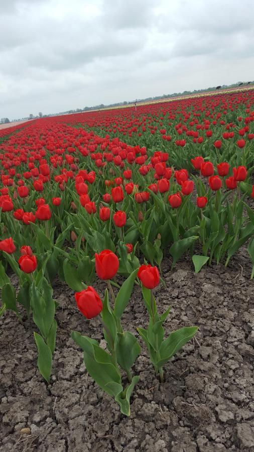 B&B Beemsterlust Westbeemster Kültér fotó