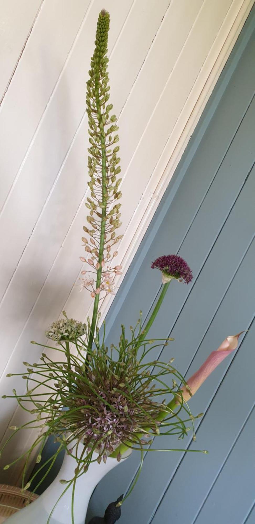 B&B Beemsterlust Westbeemster Szoba fotó